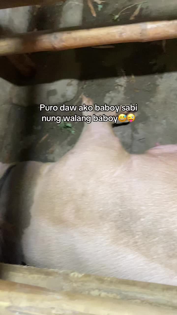 @Jhon Mark Daludado