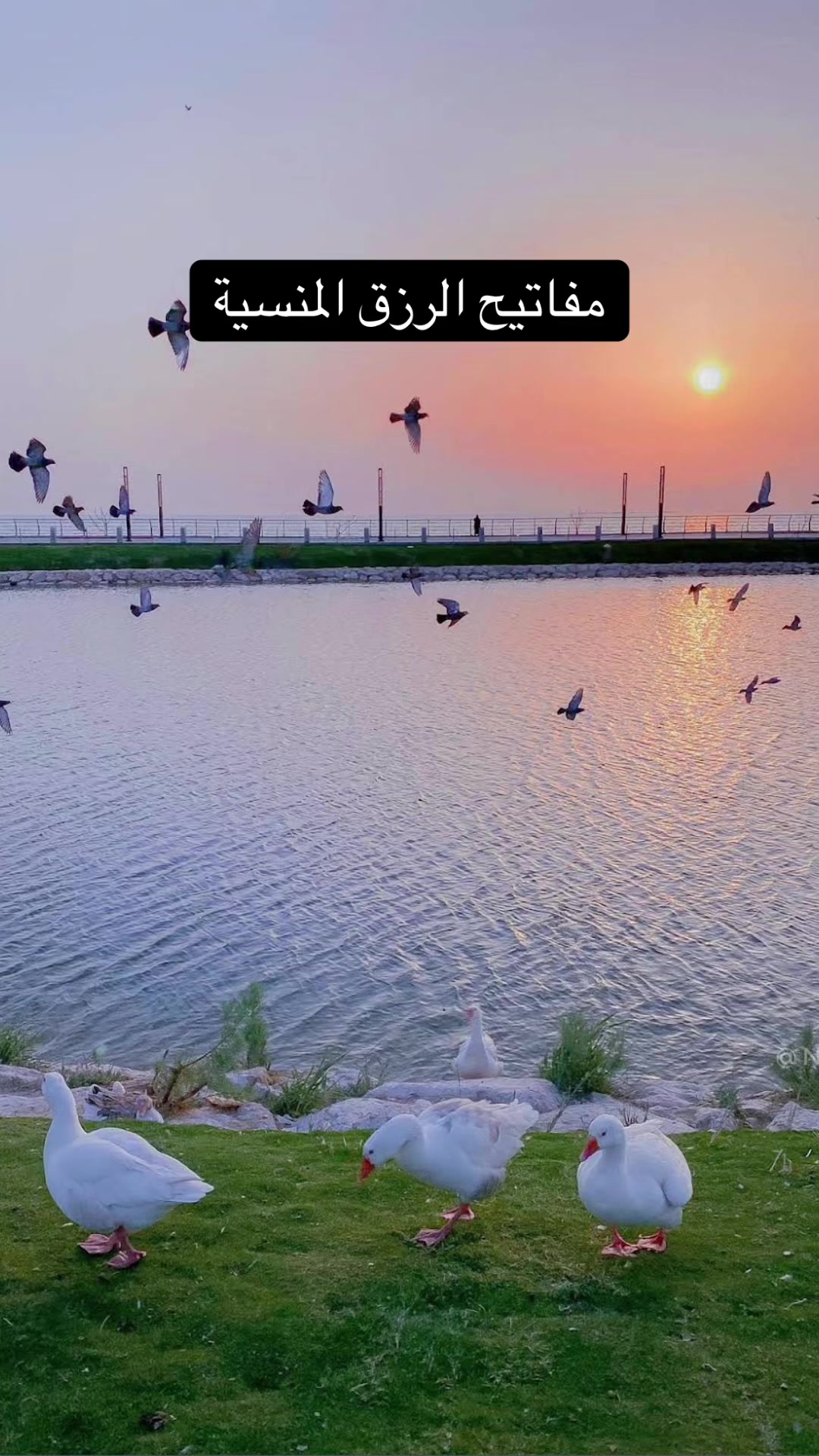 @أسرار سورة البقرة