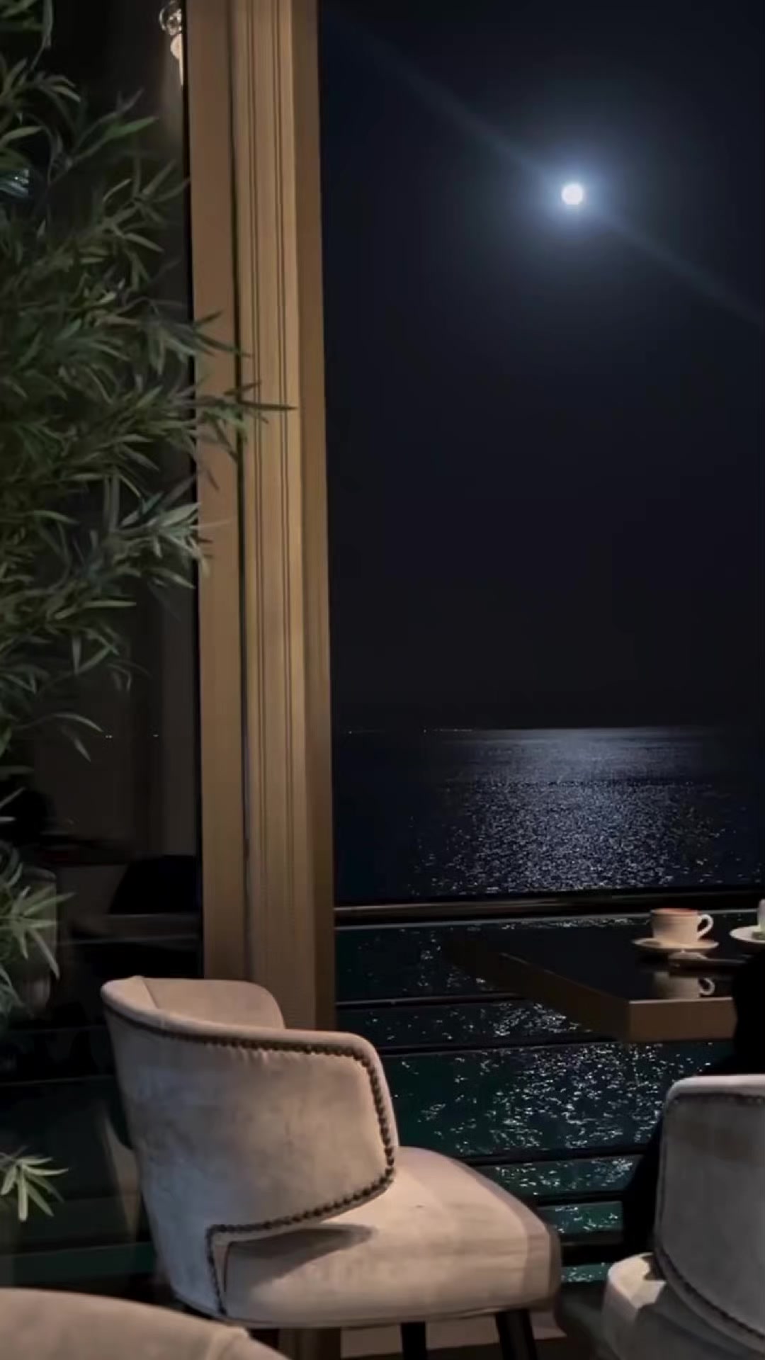 @𝗔𝗺𝗺𝗮𝙡_𝙚𝙙𝙞𝙩𝙯🦢