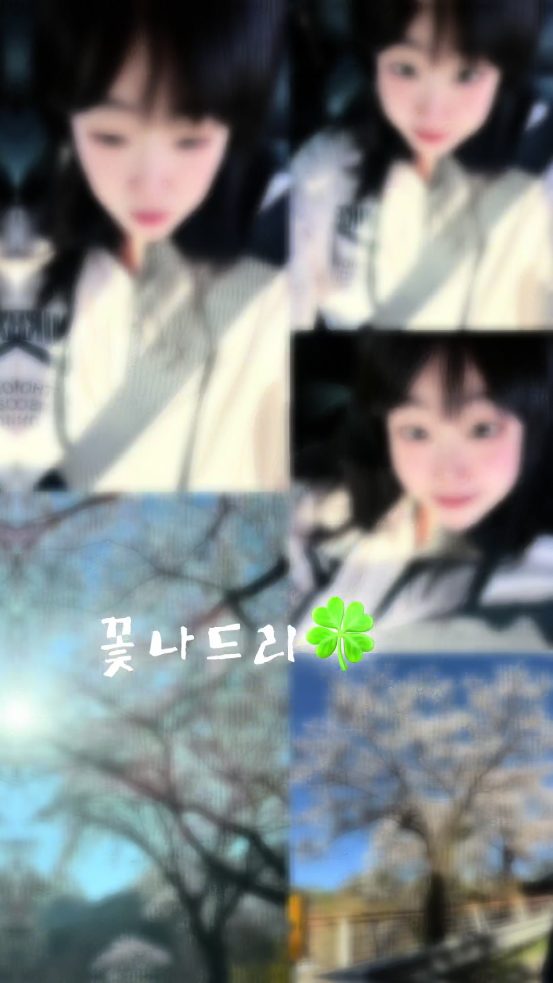 @복토끼🐰