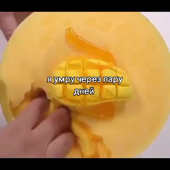 @мертвый кот