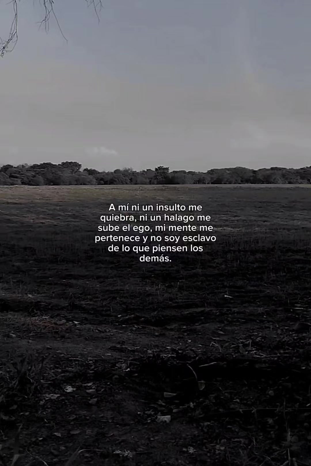 @N a t u r e