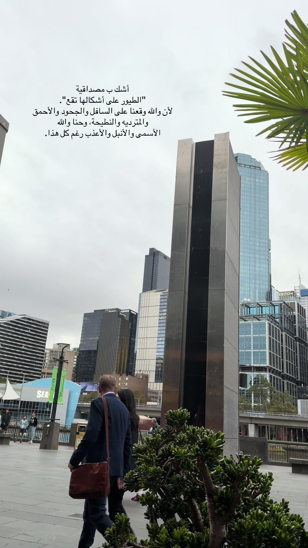 @Promise 🇸🇦 🇦🇺