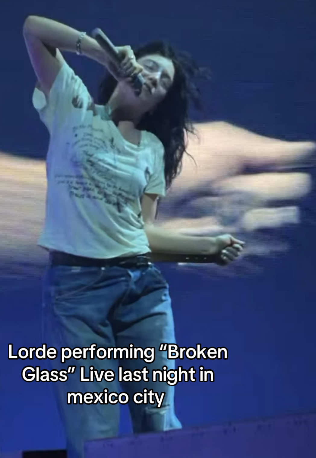 @Lorde Fanpage