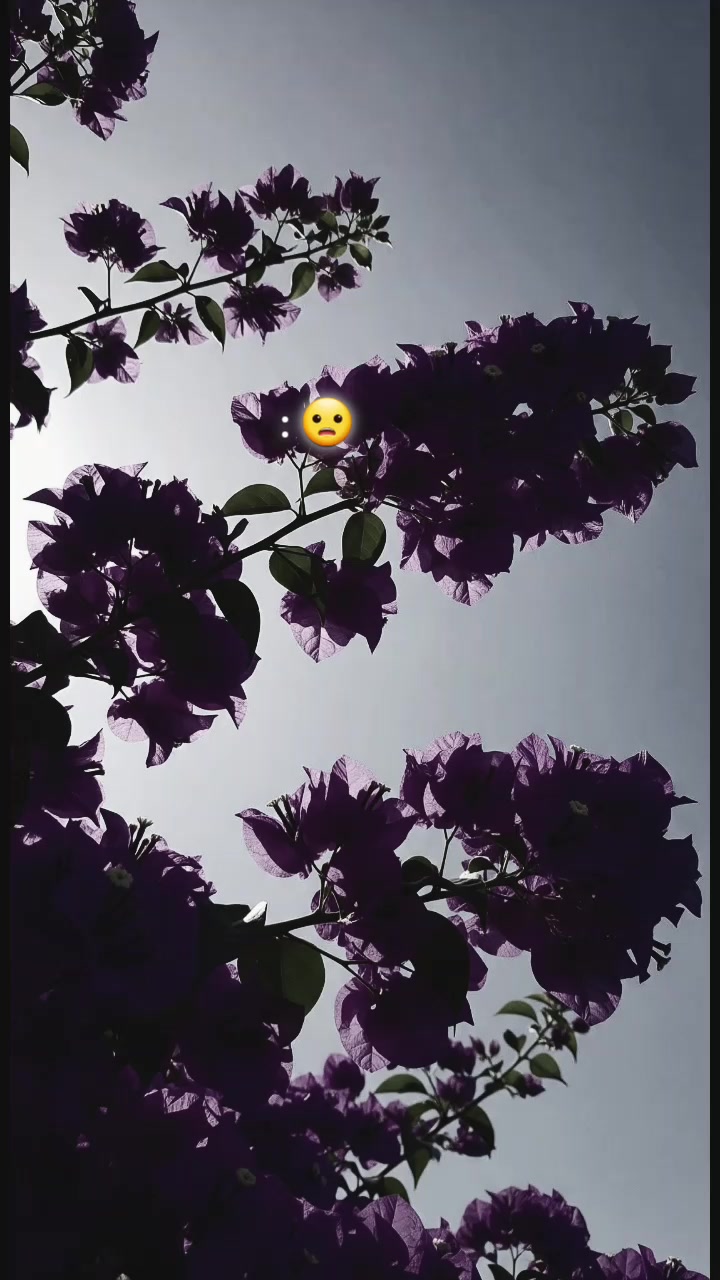 @Lucía Ruiz