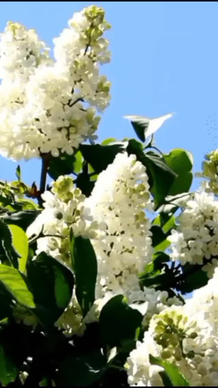 @Танюша