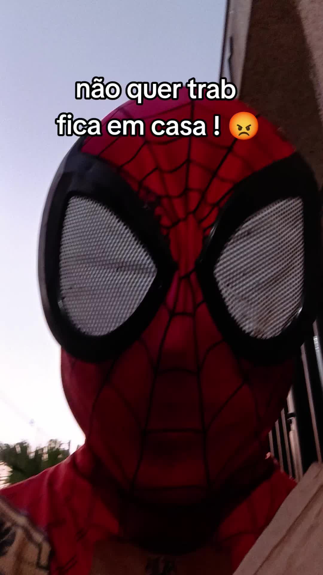 @Spiderlivery