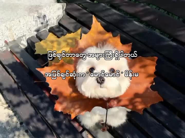 @โก๏ธ ๐๐ ๐๐๐๐