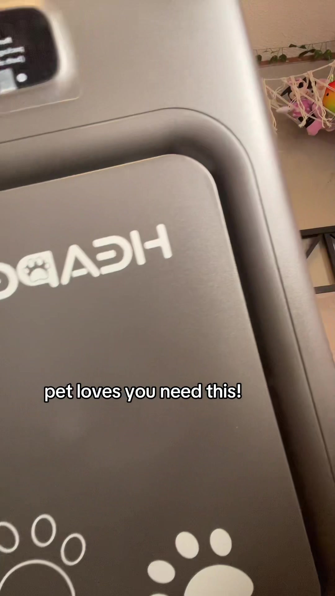 @reanna