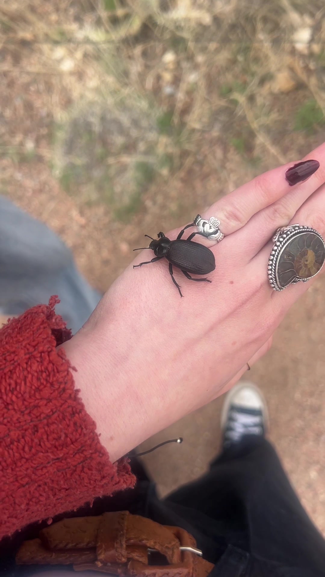 @Emo Bugs