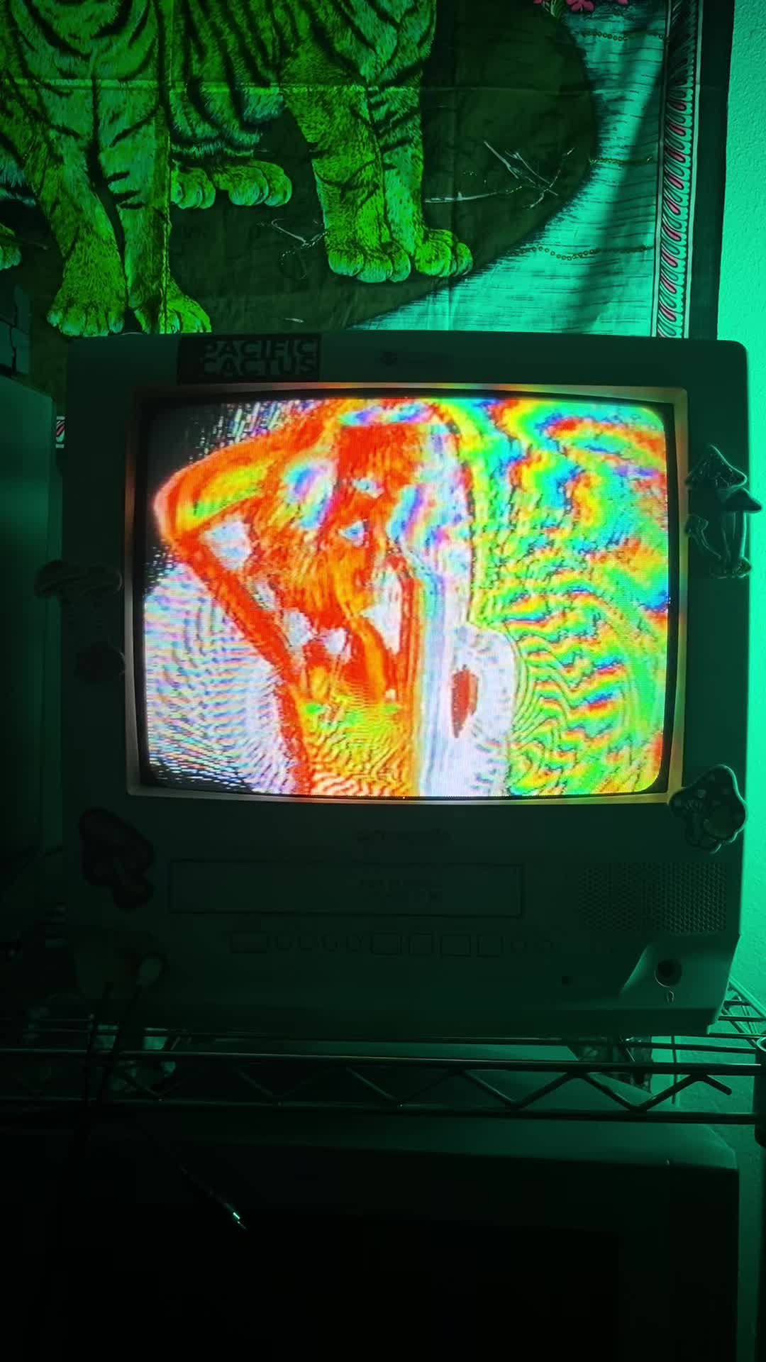 @telenanacatl