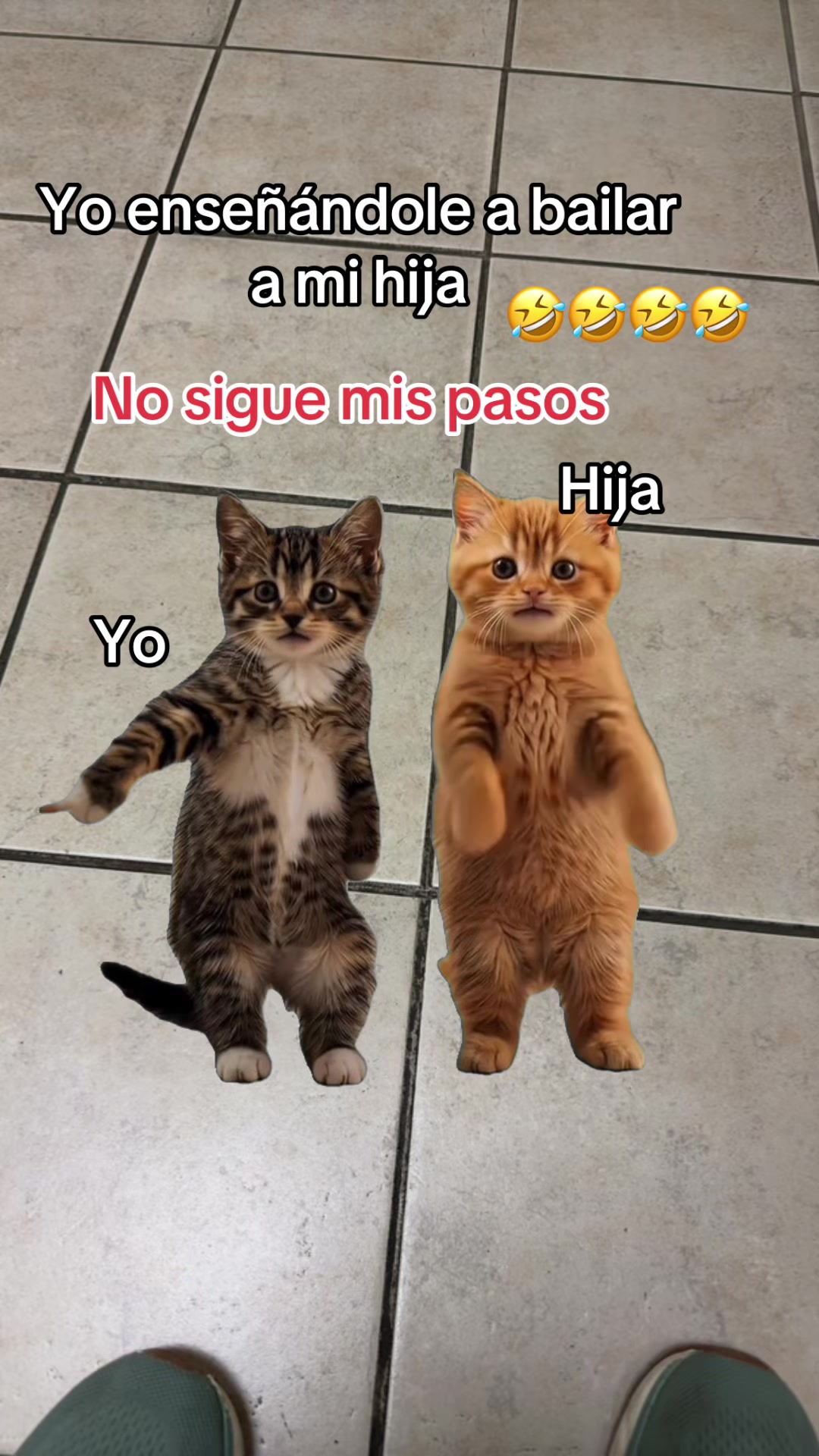 @RosaLinda 🌹🌹🌹