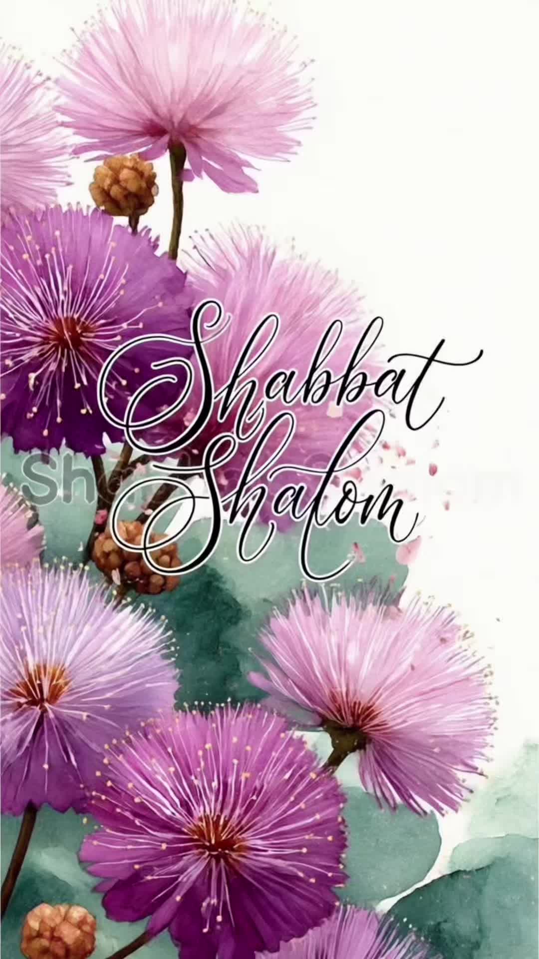@Yeshua’Bride Story(Katherine)