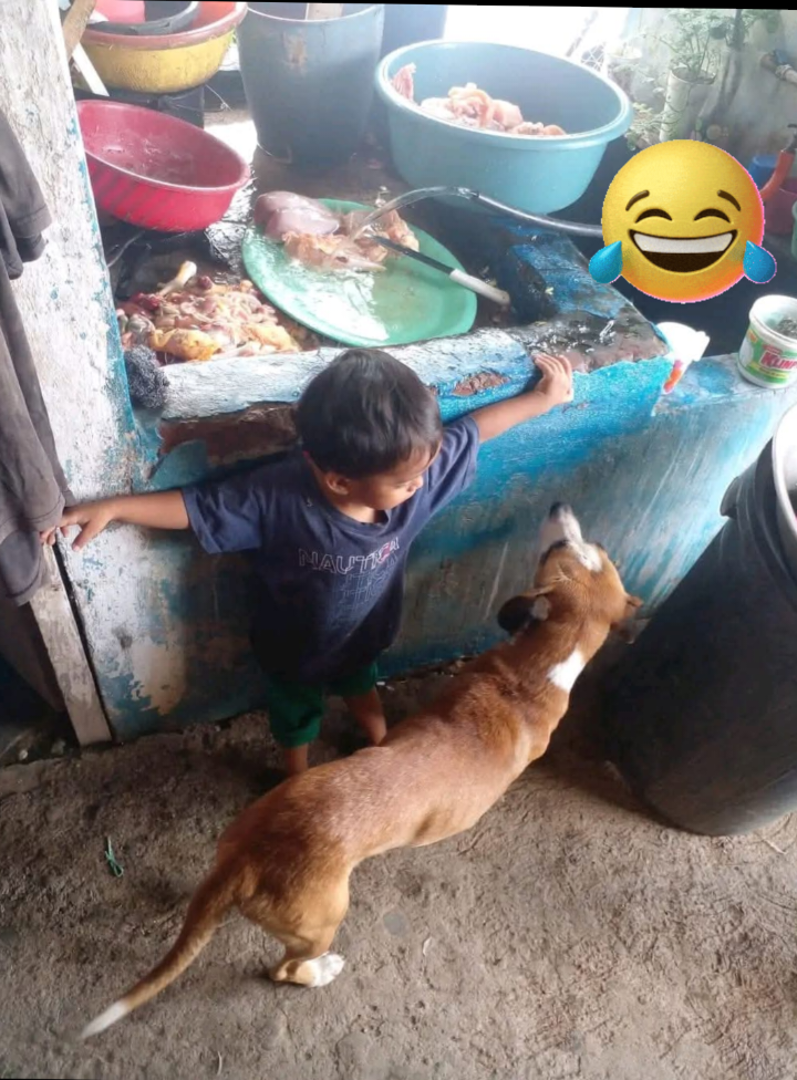 @🤣🤣🫨🤣🤣😵💫