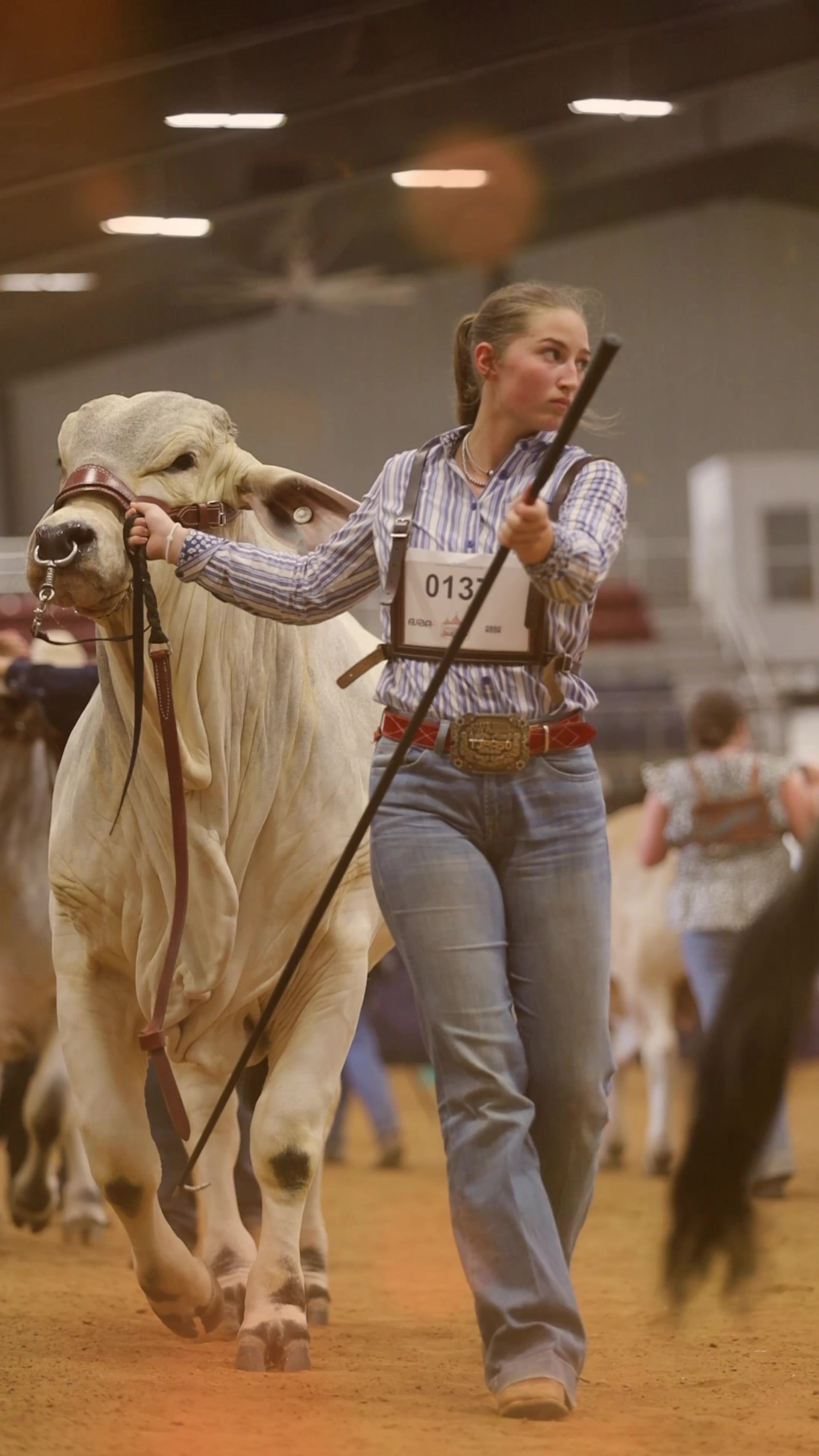 @England Cattle Co.