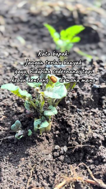 @nanda_setiawan_