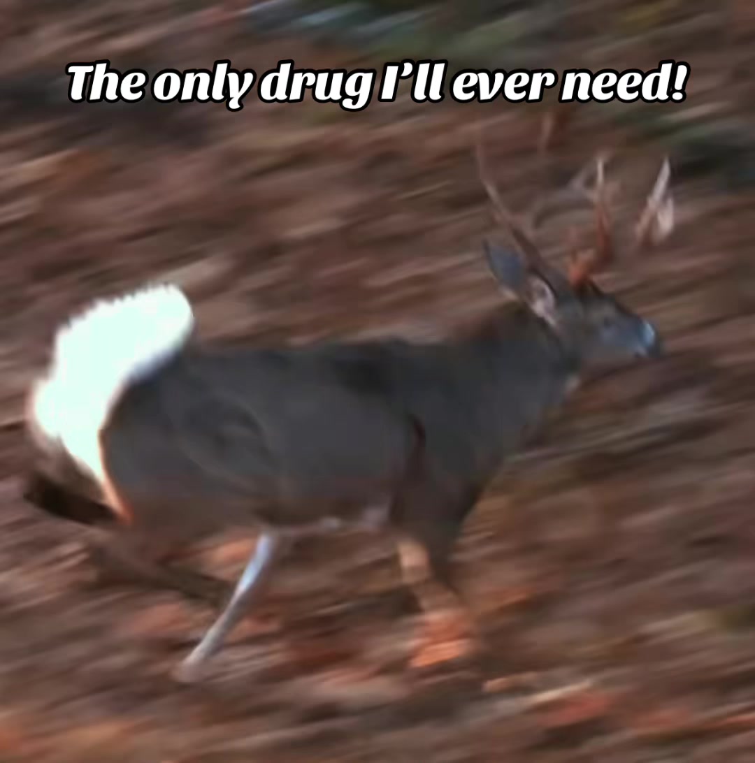 @🦌 Megabucks Outdoors 🦌