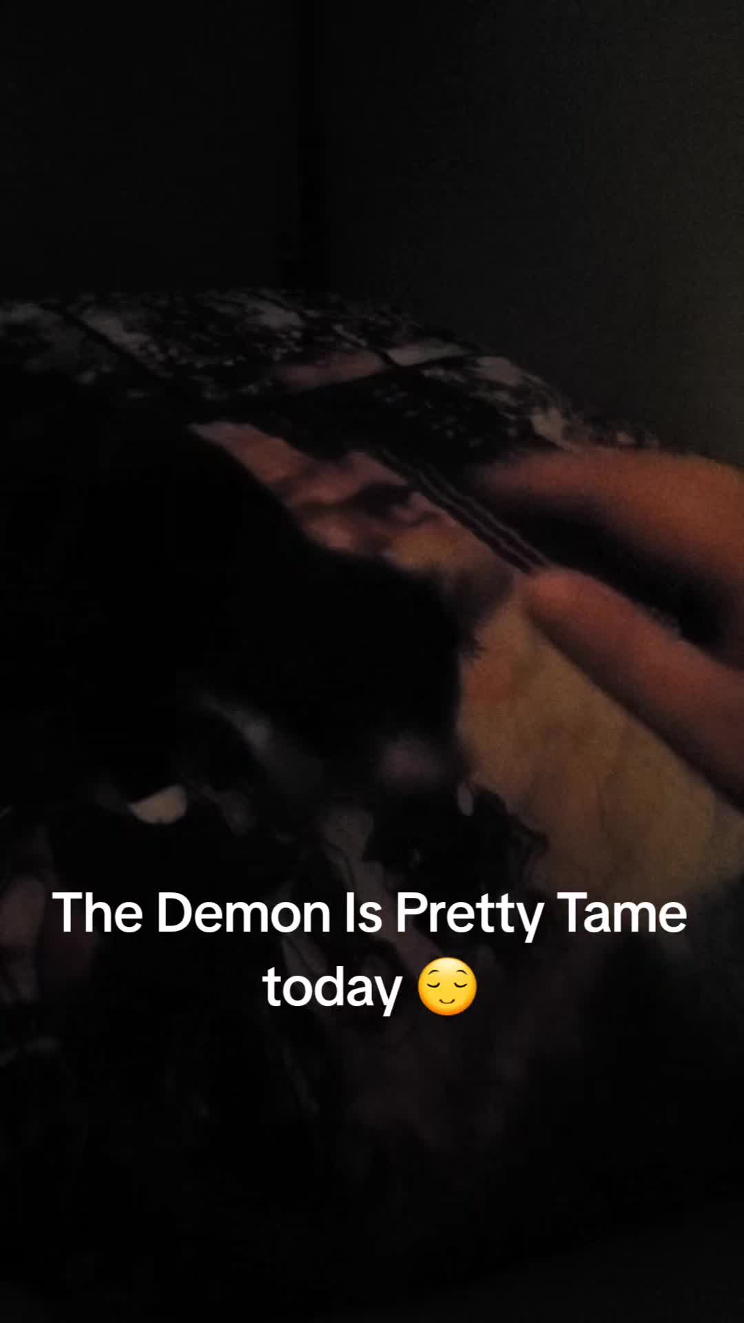 @pikababy⁷