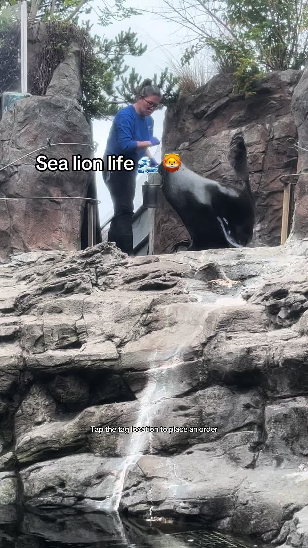 @Dodzilla