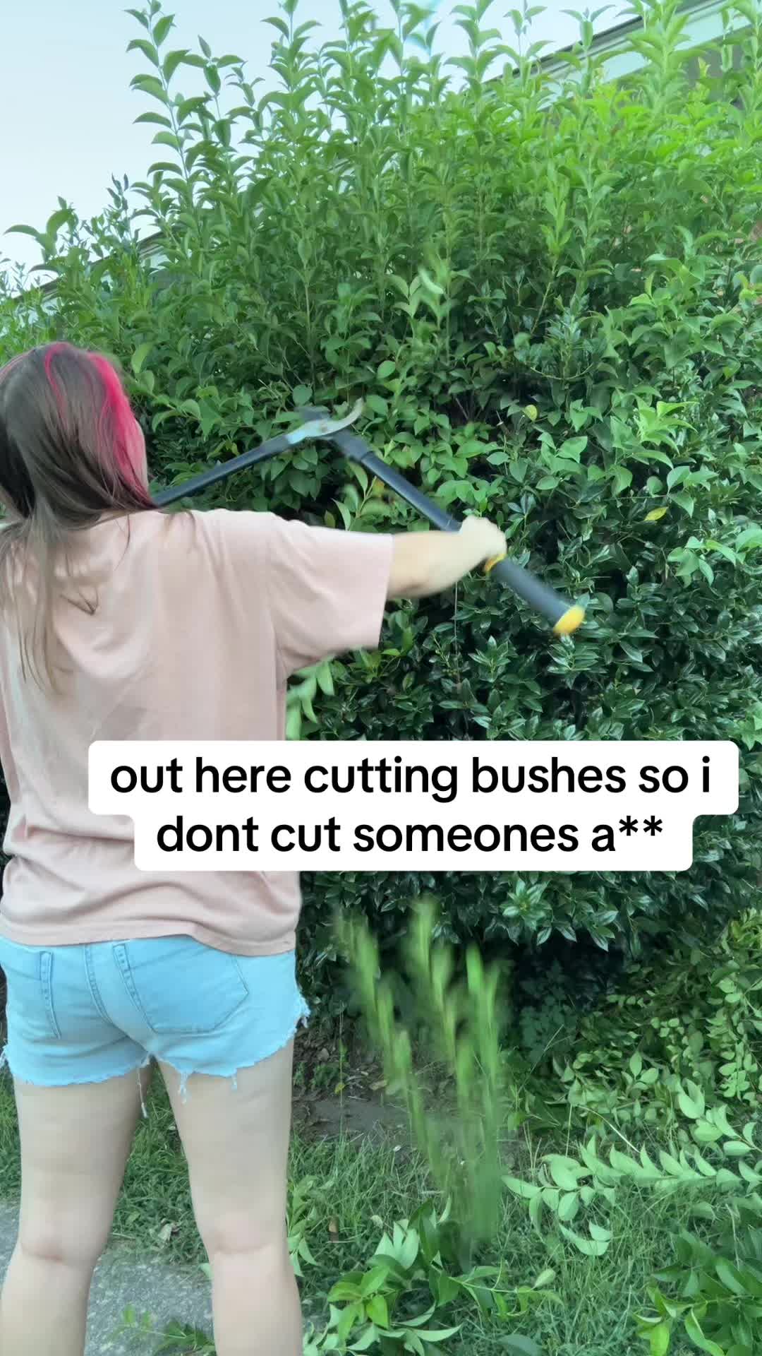 @saberqueentiger