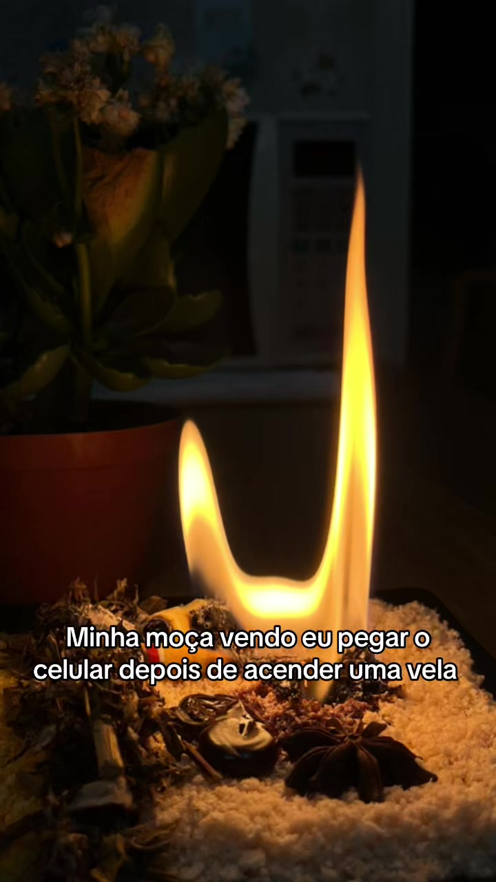@Bruna D’Quitéria