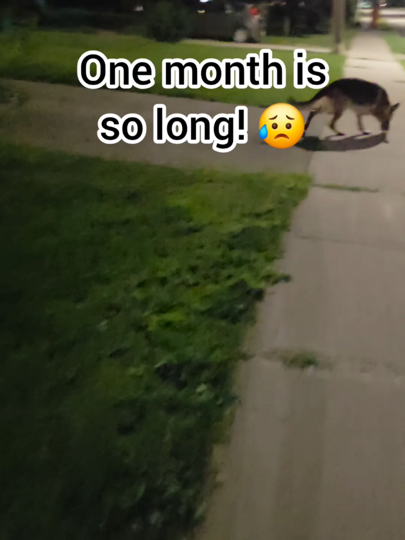 @BuddyandMikes Pal