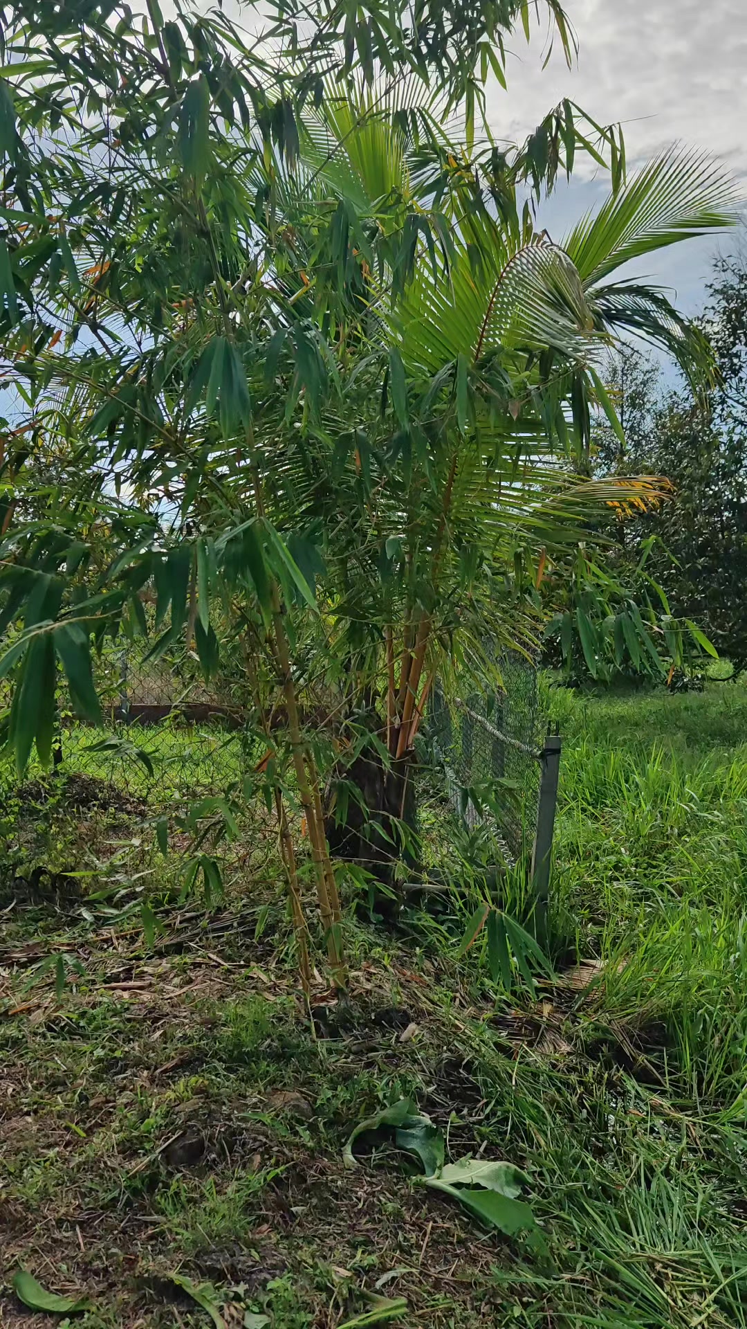 @Bất Động Sản Cần Thơ