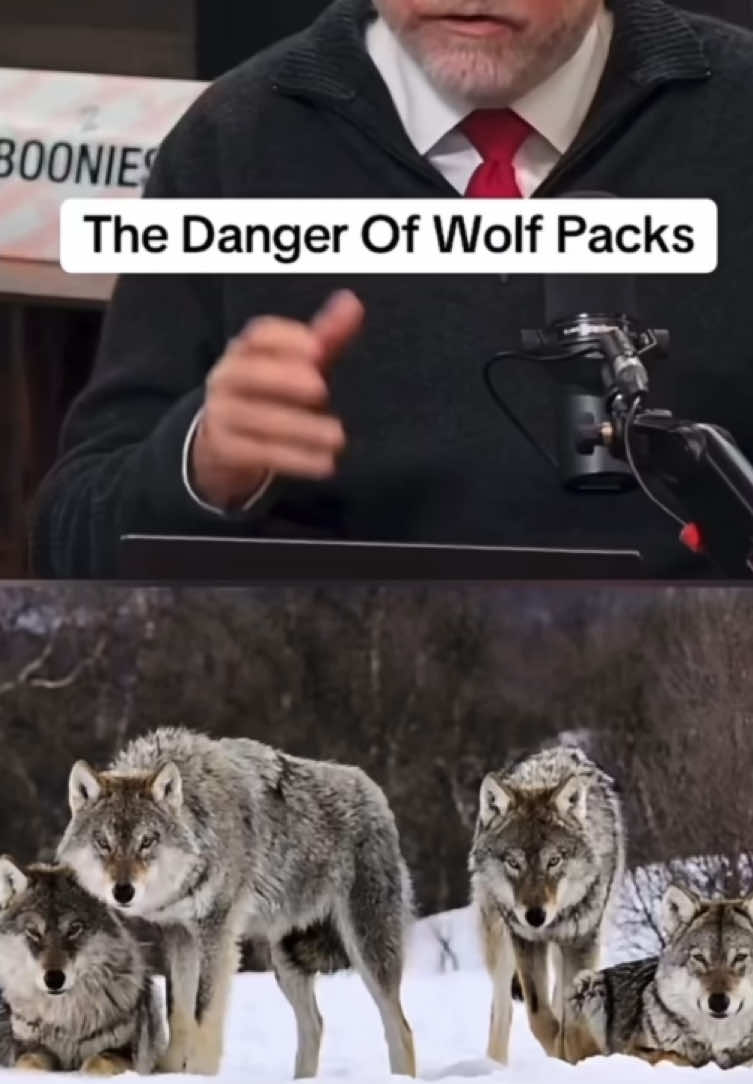 @Cartelmarcel