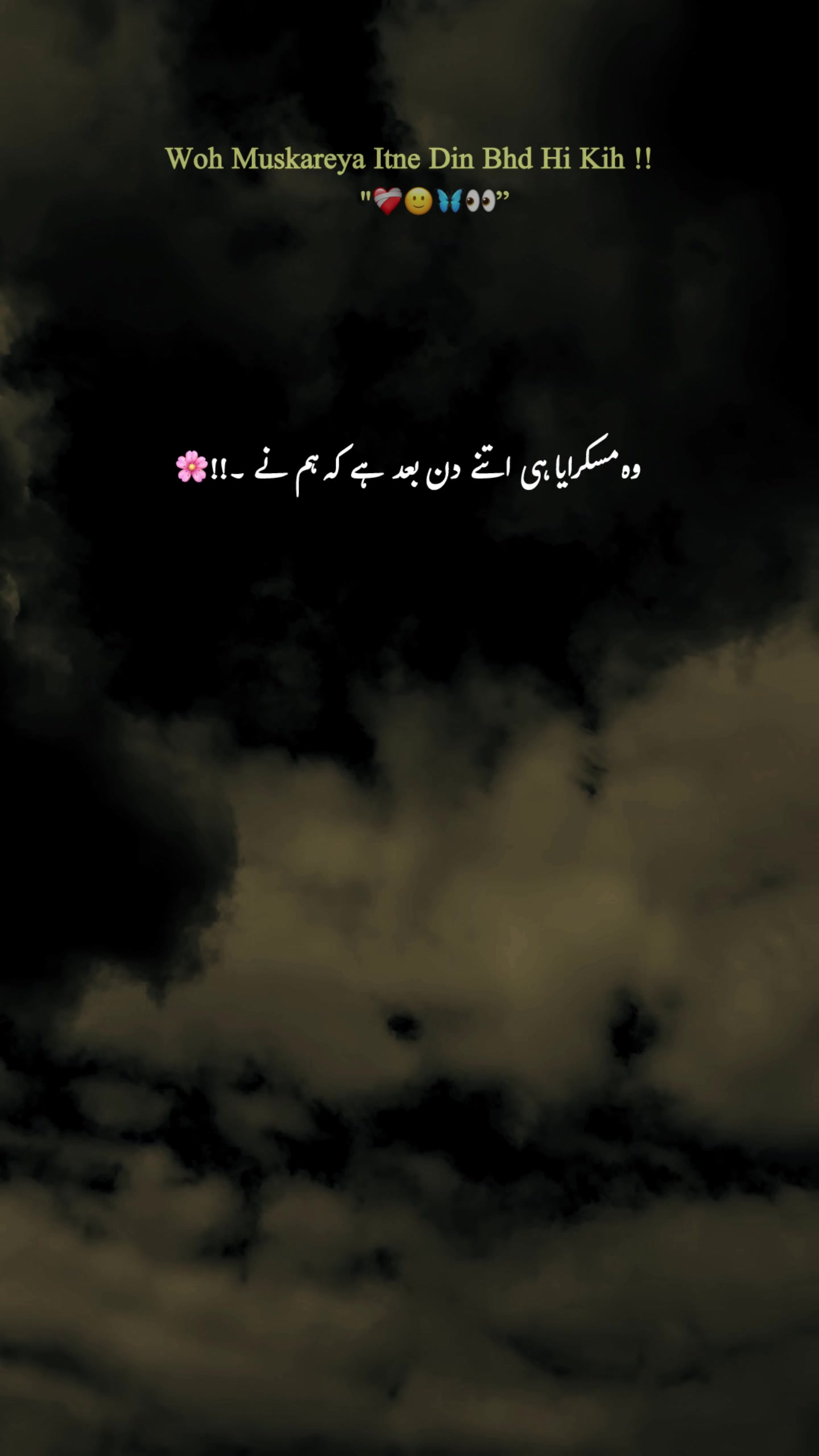 @-🕊️