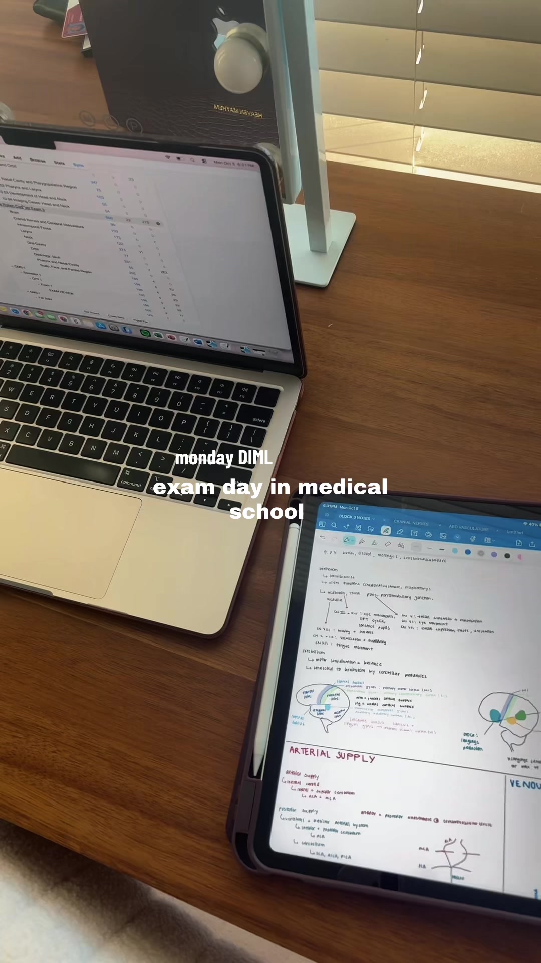 @bellainscrubs ⭐️