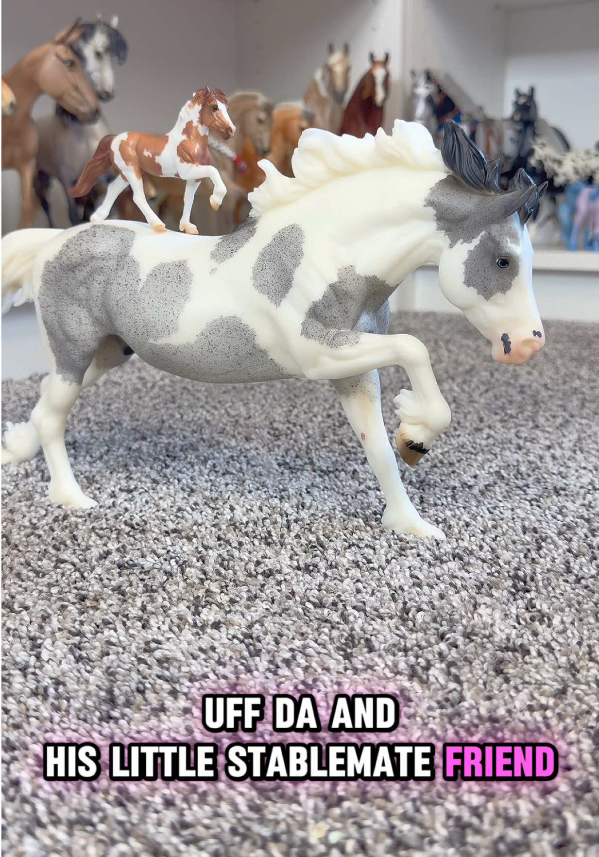 @Infinity Breyers