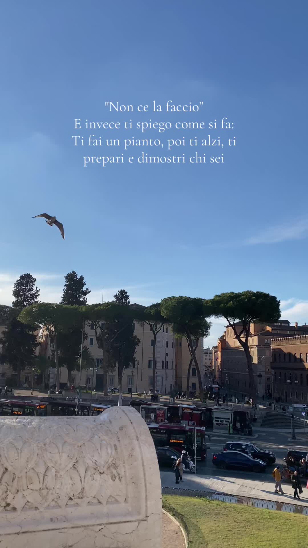 @✨YLENIA CONGIU✨