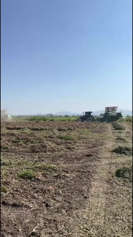 @🦅OSMAN_ÇAMLI🦅
