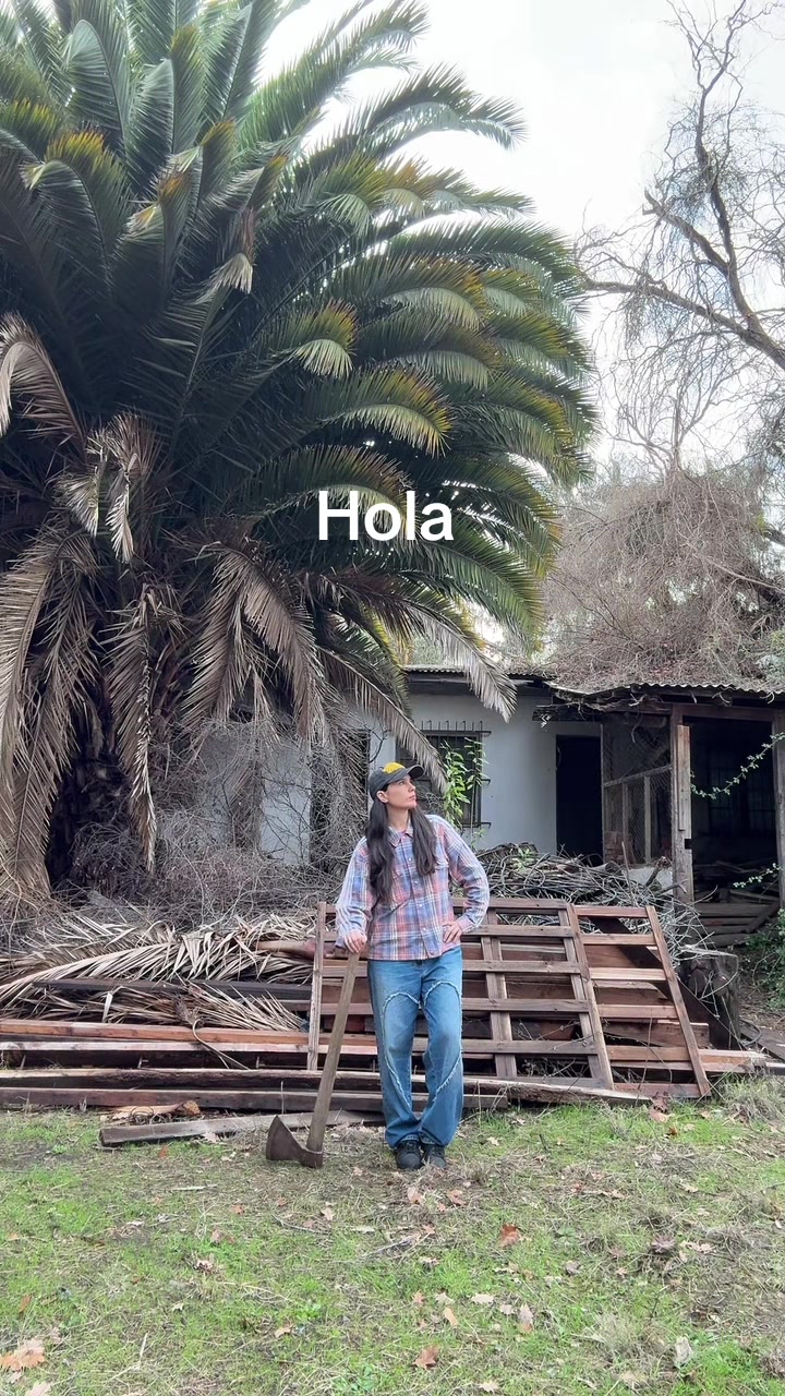 @Javiera Mena
