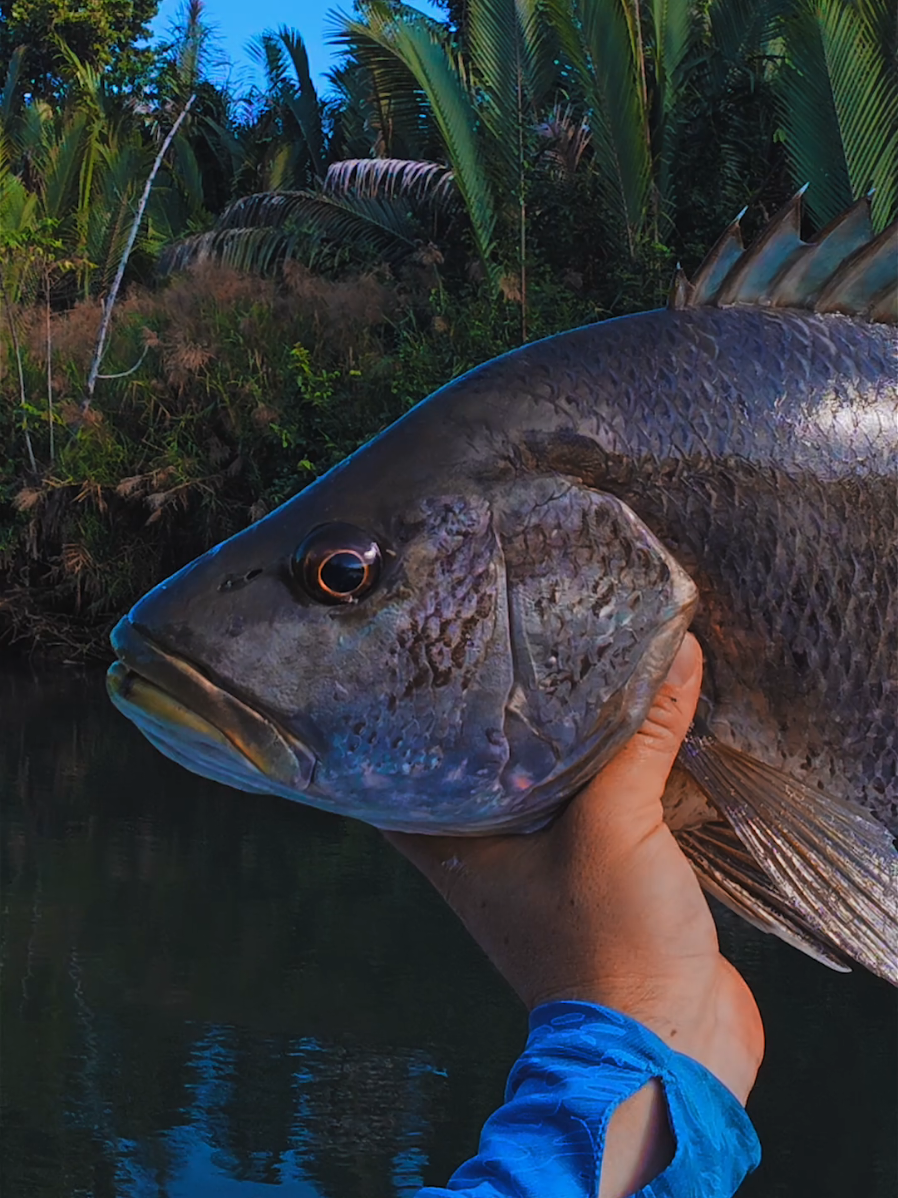 @JCsFishingShenanigans