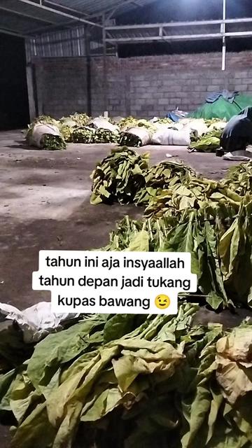 @latif17