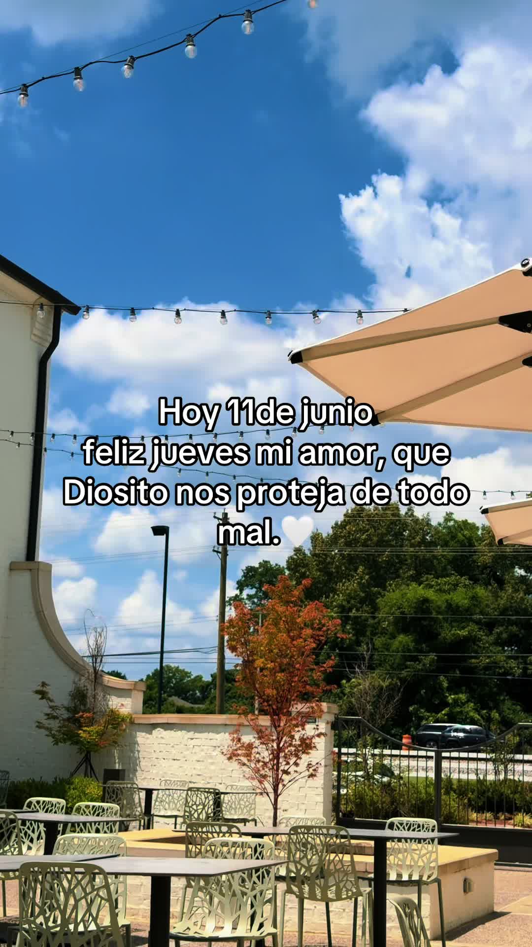 @rolitas502🇬🇹