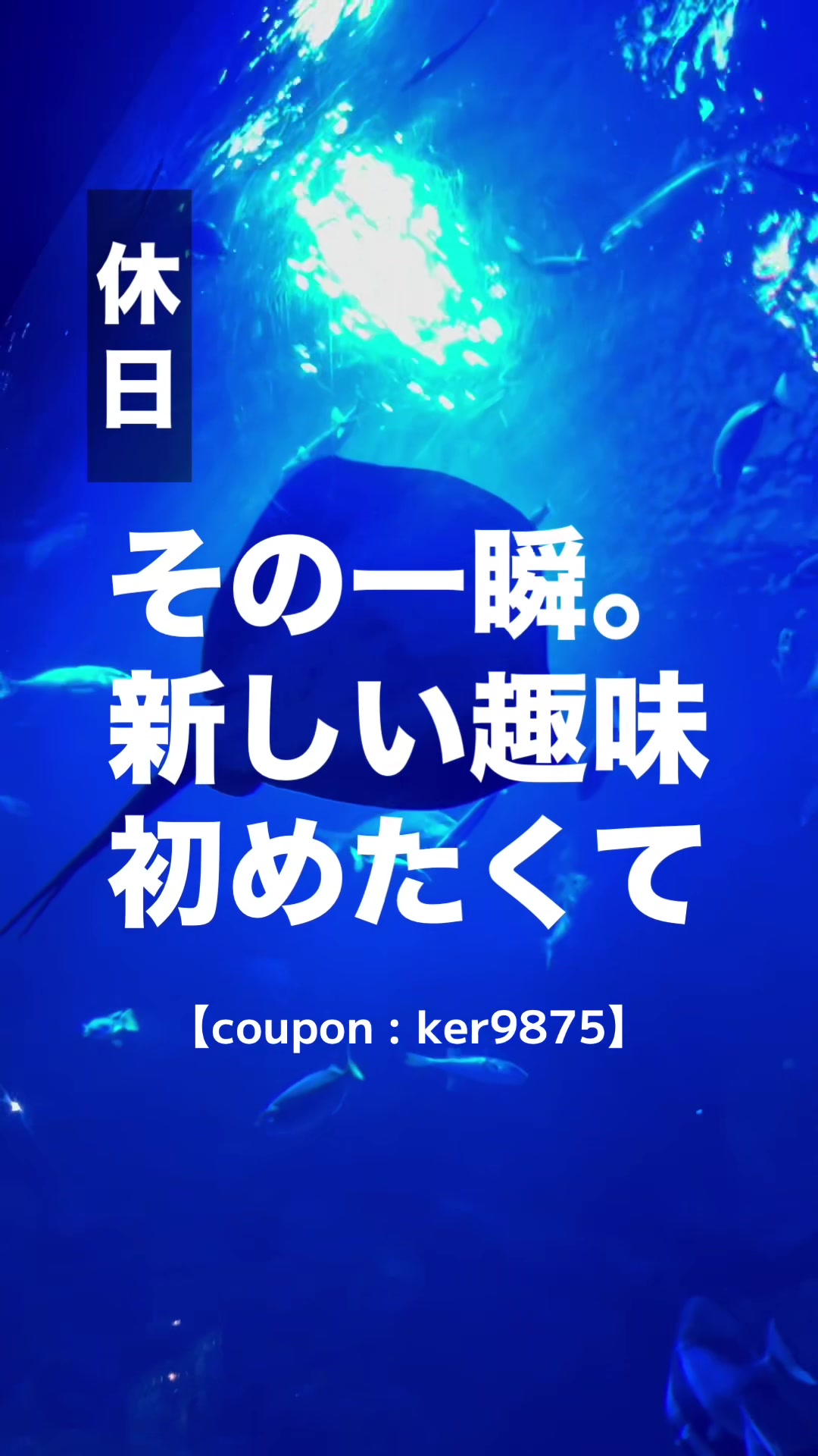 @雑貨マップ〜全国の雑貨店紹介〜