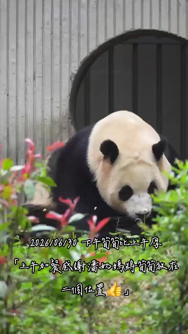 @福寶需要愛的抱抱