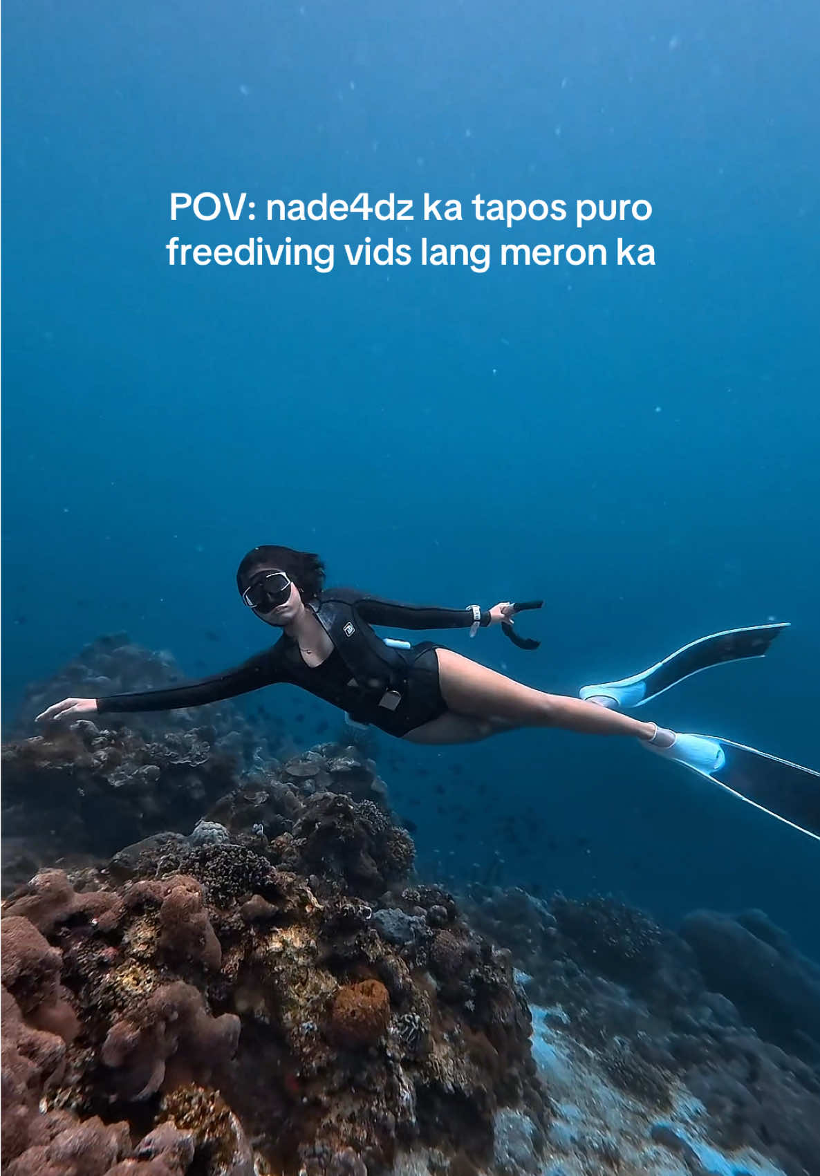 @Mermaid Moniq🧜🏻♀️🪸