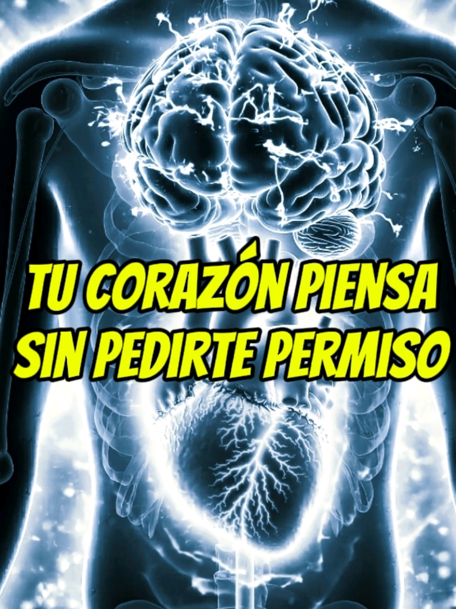 @Codigo Sagrado