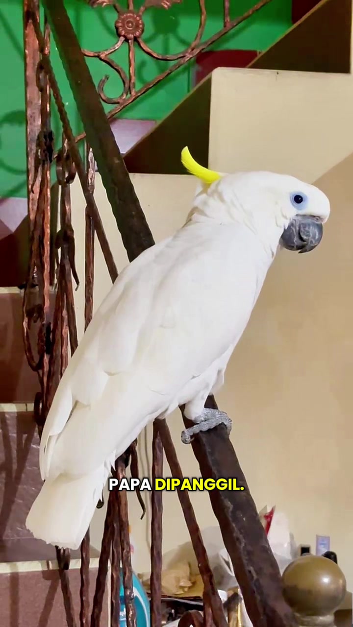 @bio_bege