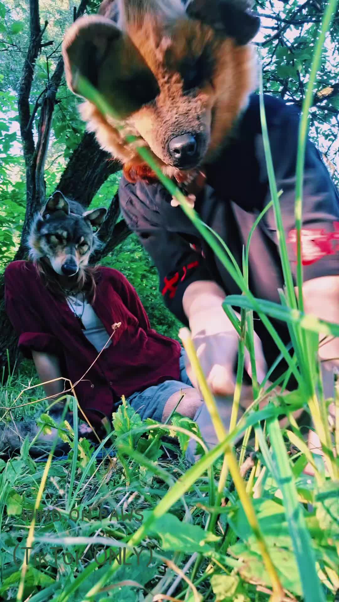 @🍃°• sᴛᴜᴘɪᴅ ʜʏᴇɴᴀ •°🍃