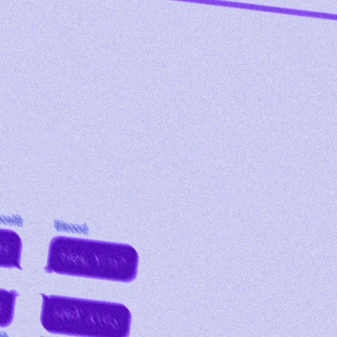 @vivinx