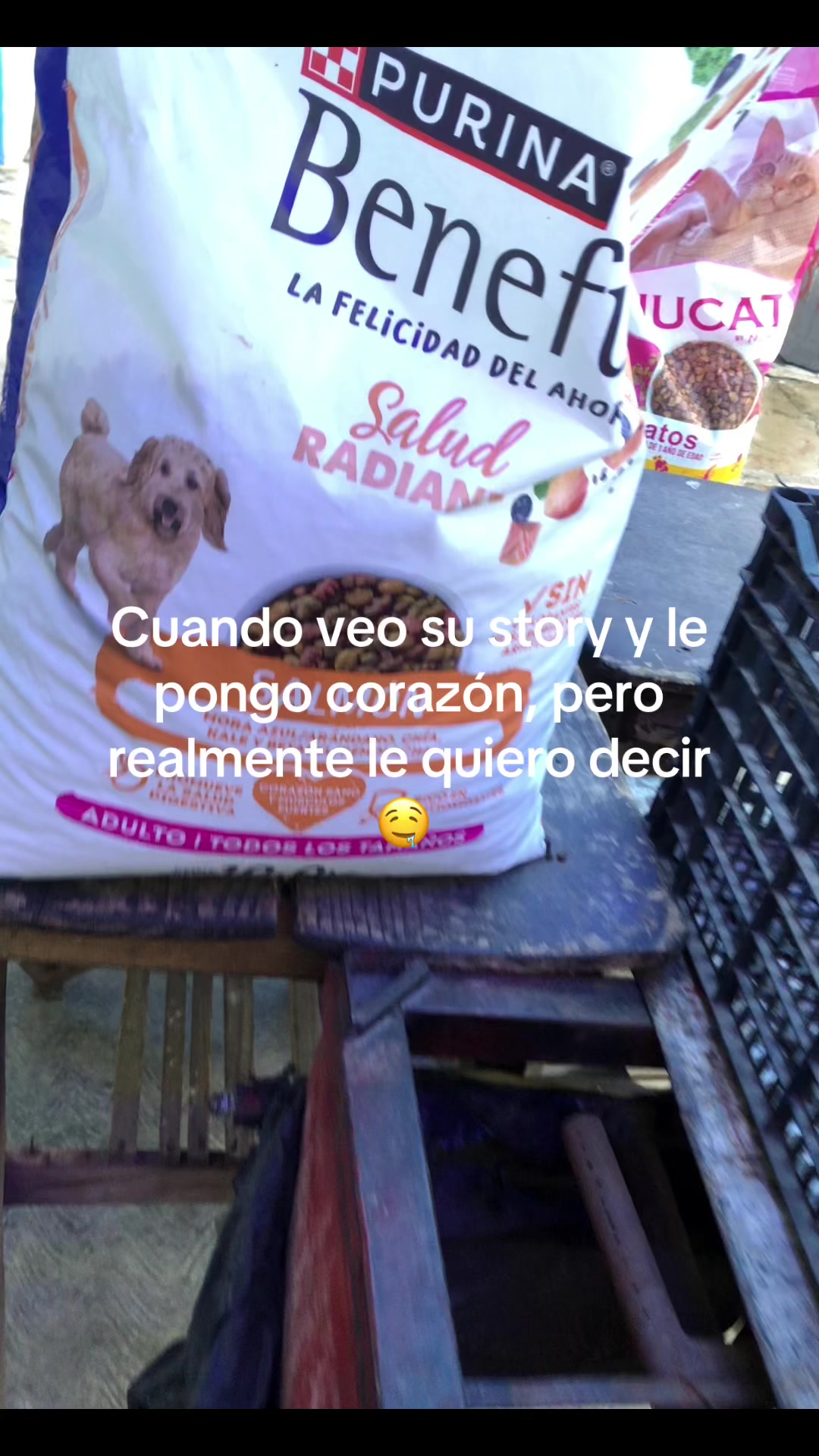 @Benjamin Peralta oficial