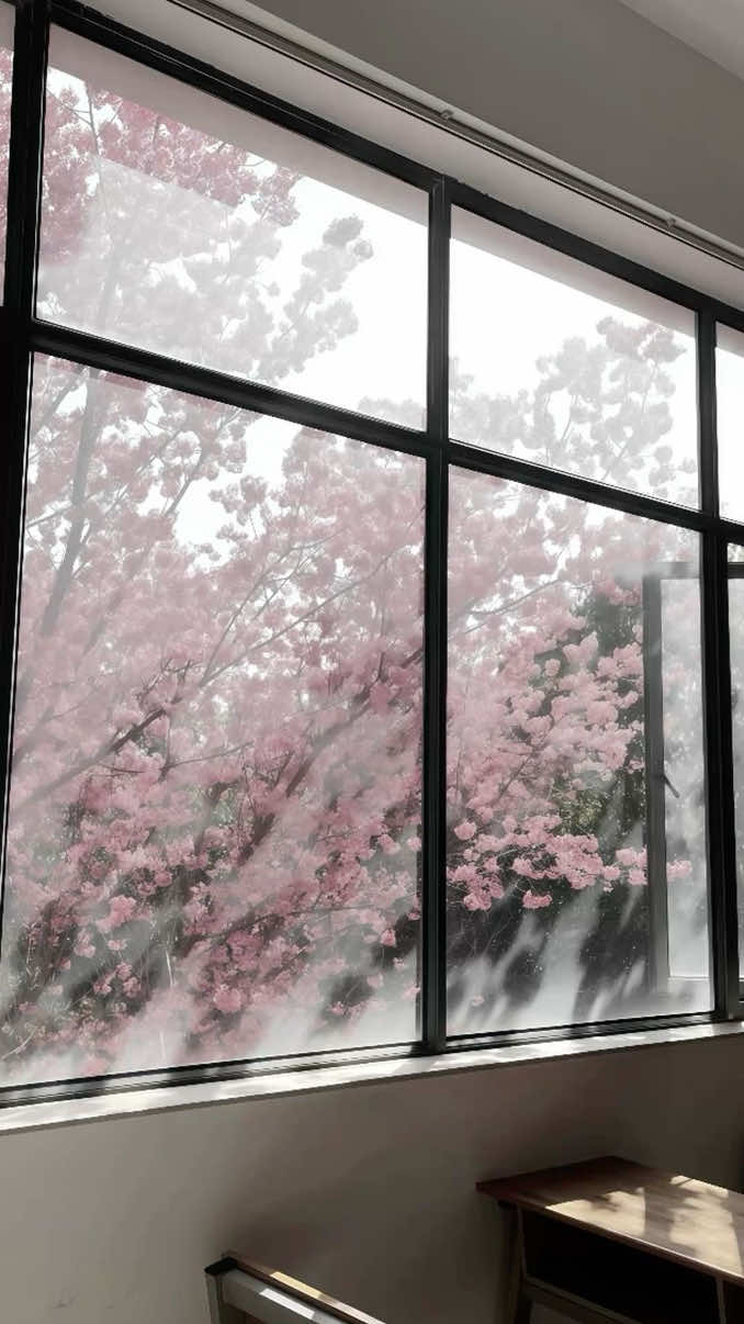 @きあᢉ𐭩