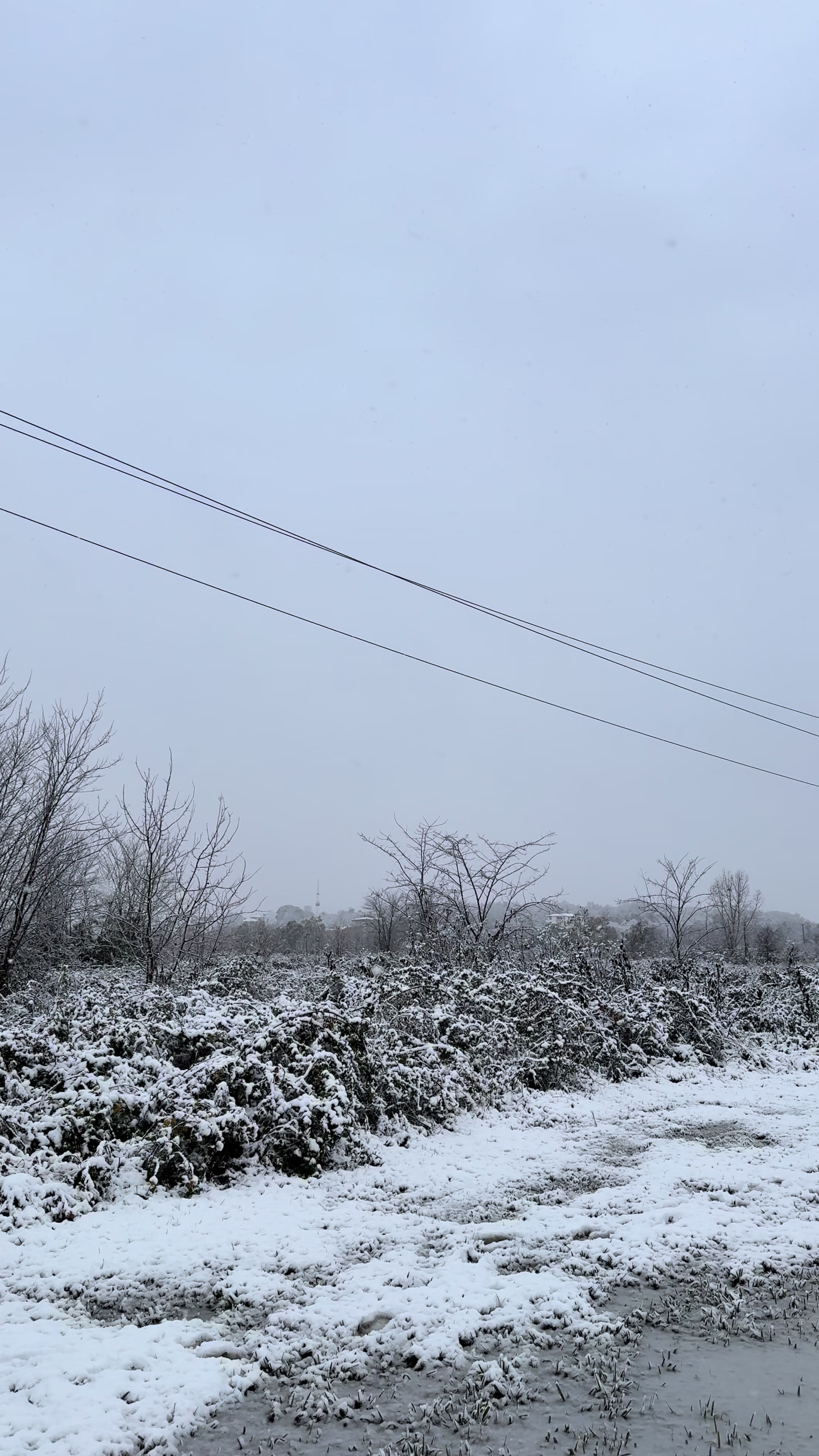 @Turgay Kırdar