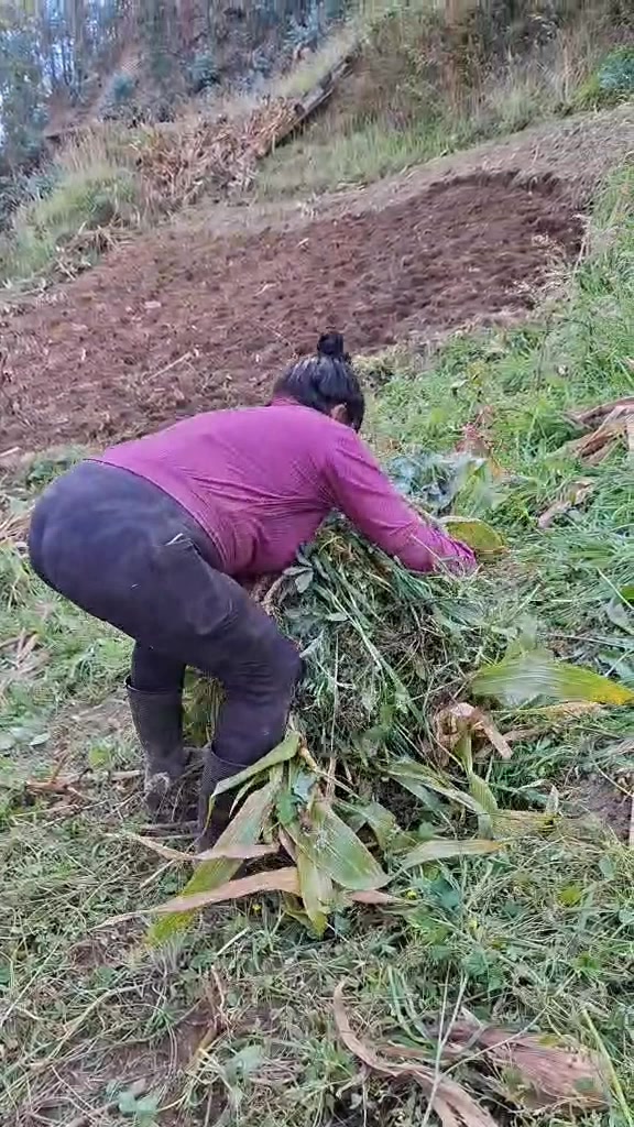 @veronicasarmiento