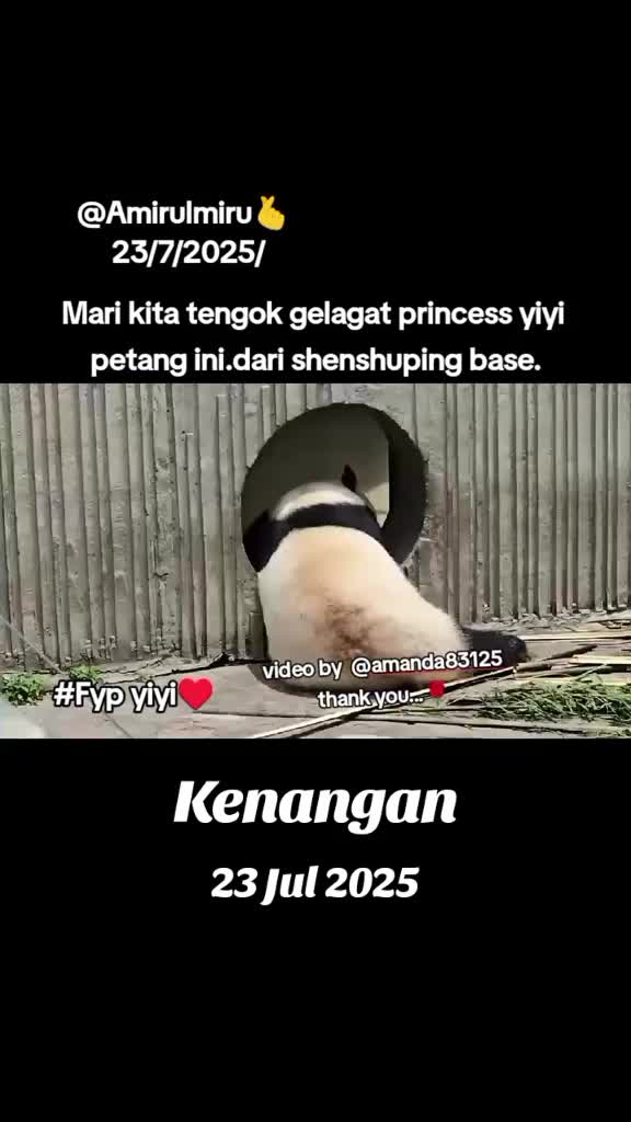 @AmirulMirul3