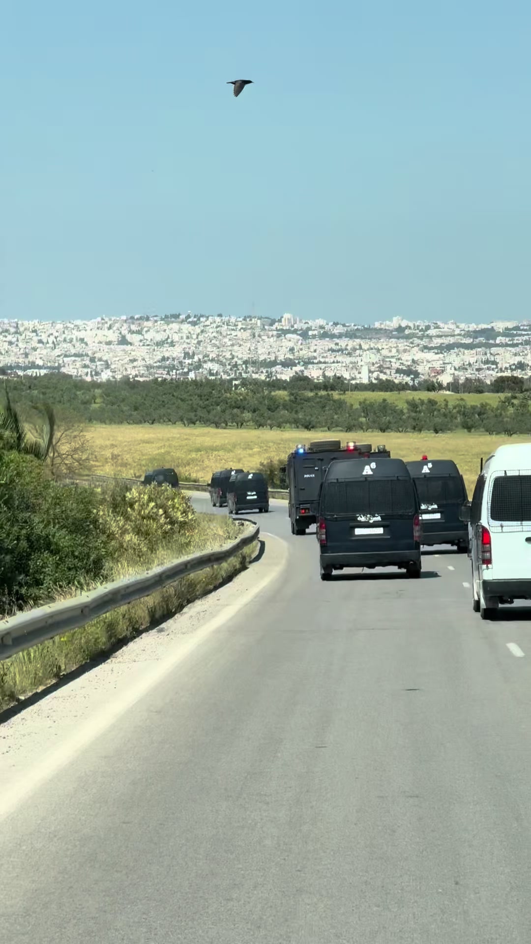@مهدي التونسي🇹🇳
